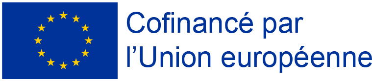 Lien vers le site du FSE Site du FSE